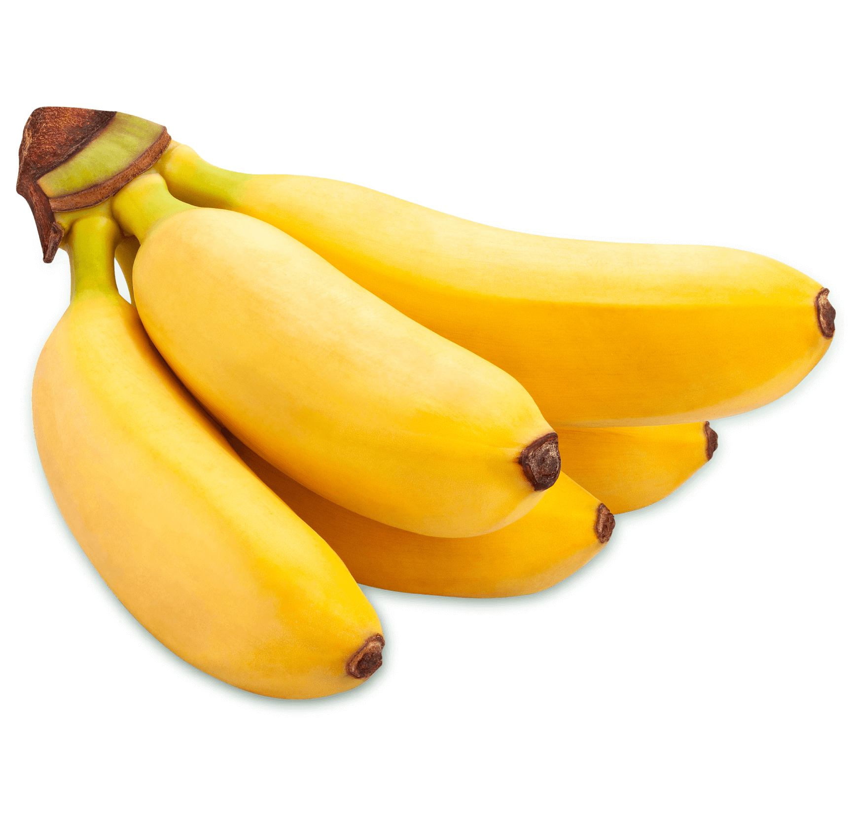 Baby Banana Baby Banana