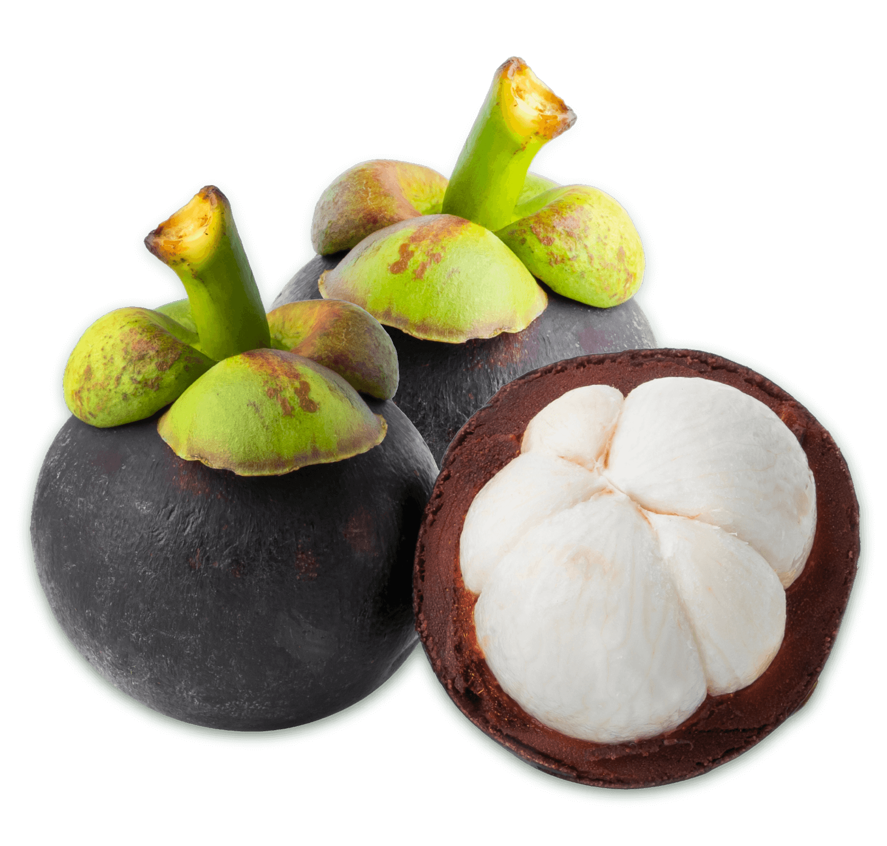 Mangostino Mangostino
