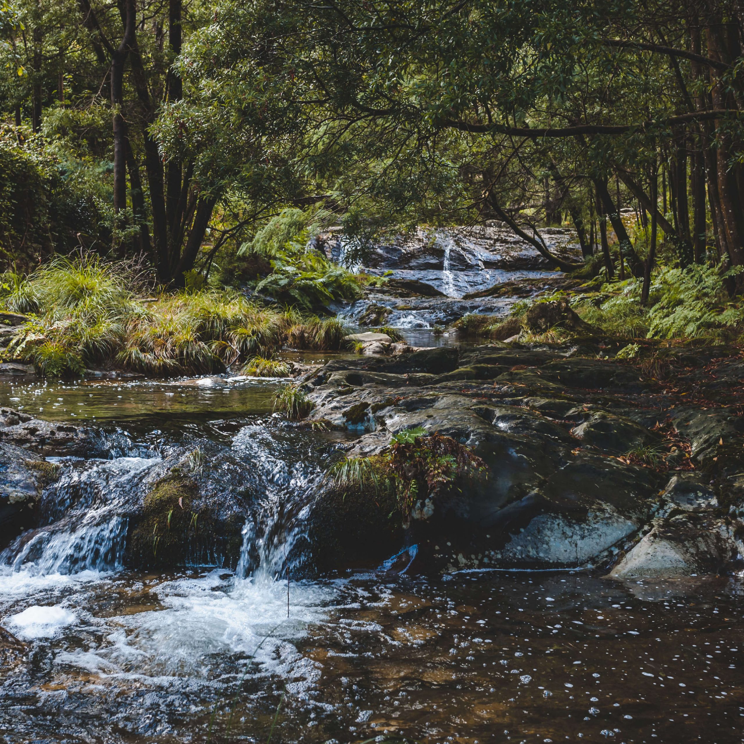 Conservación y protección del medio ambiente
