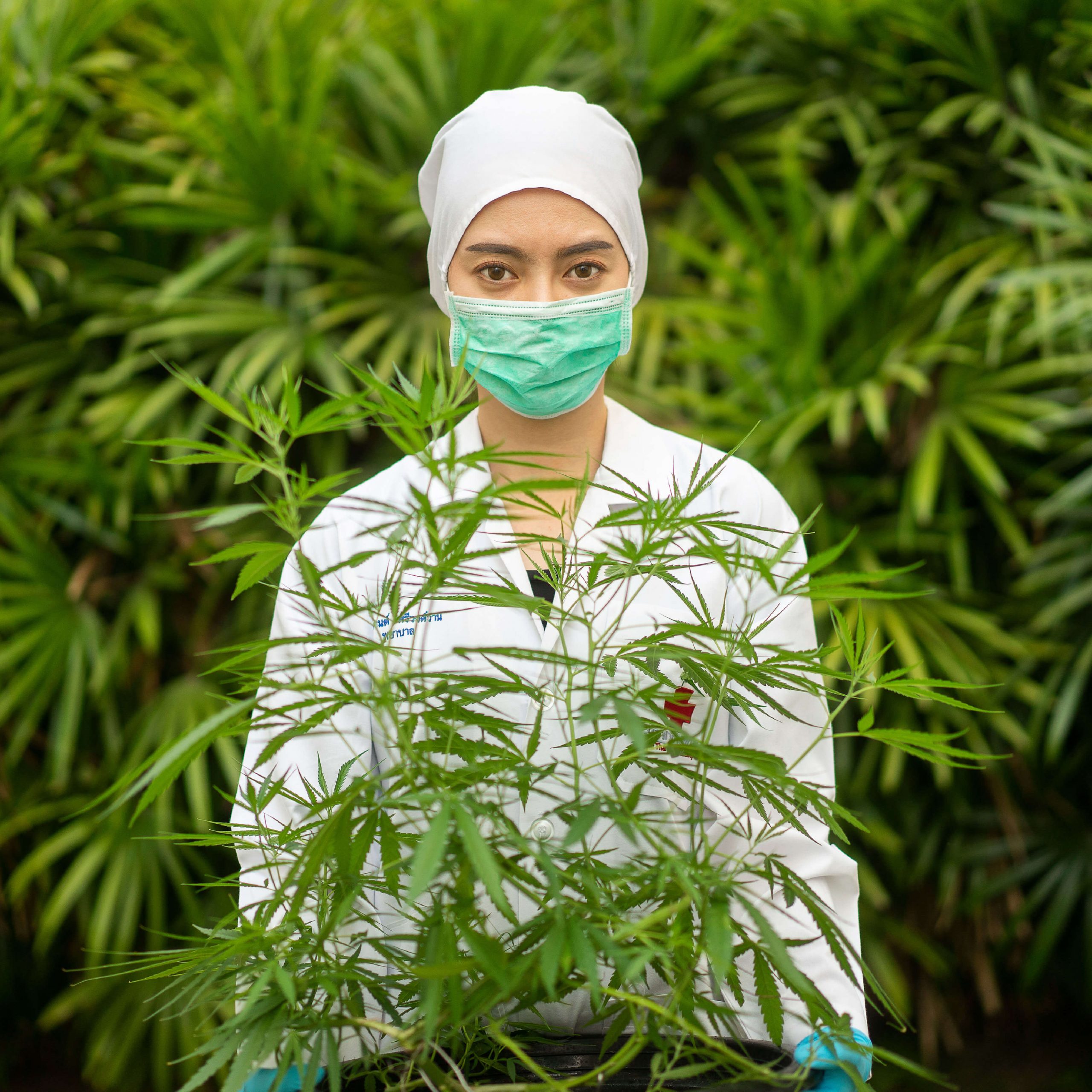 Generación de empleo rural