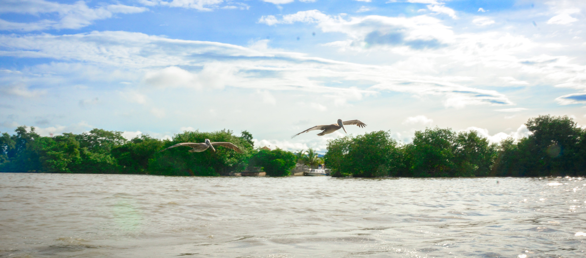 Línea de Transparencia