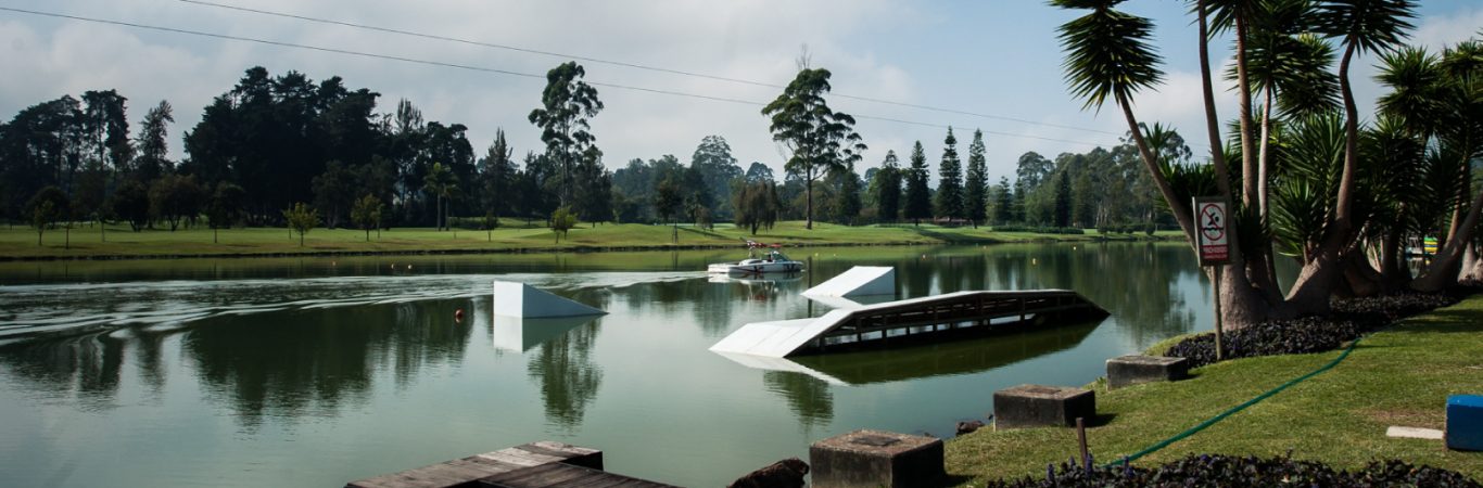 Estatutos