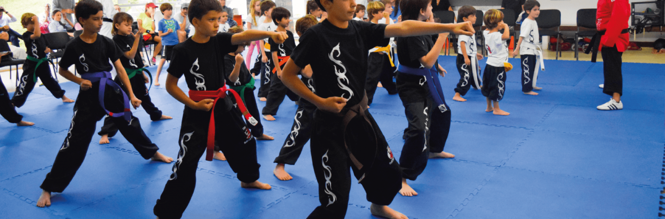 Artes Marciales