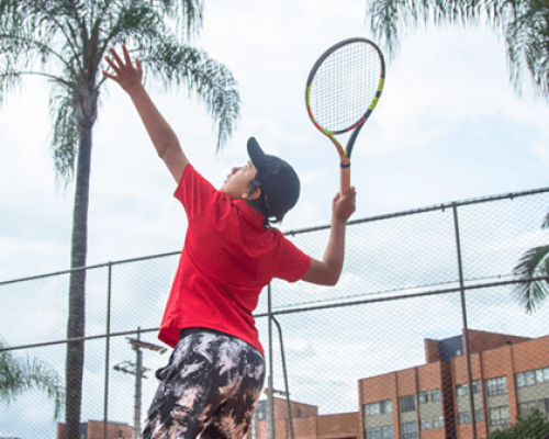 Tenis