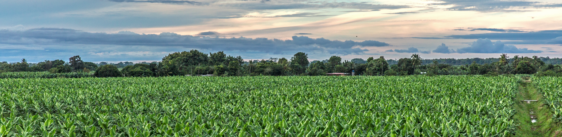 Nuestra huella ambiental