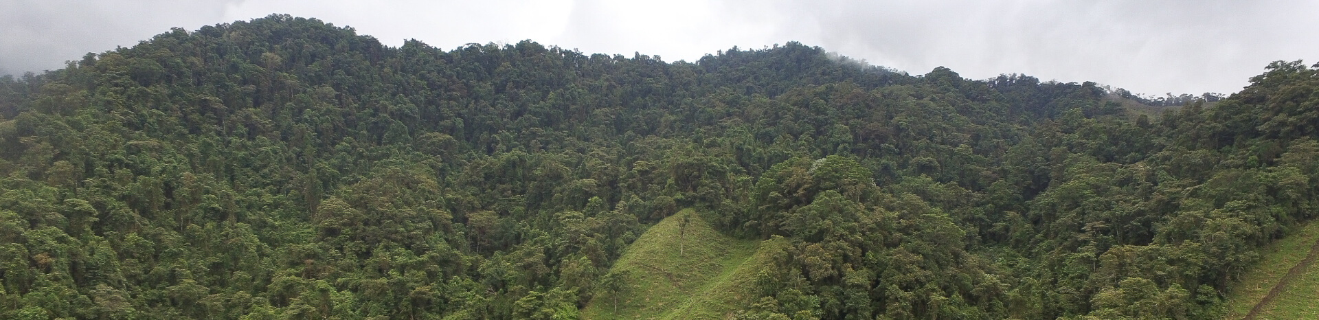 Nuestra huella ambiental