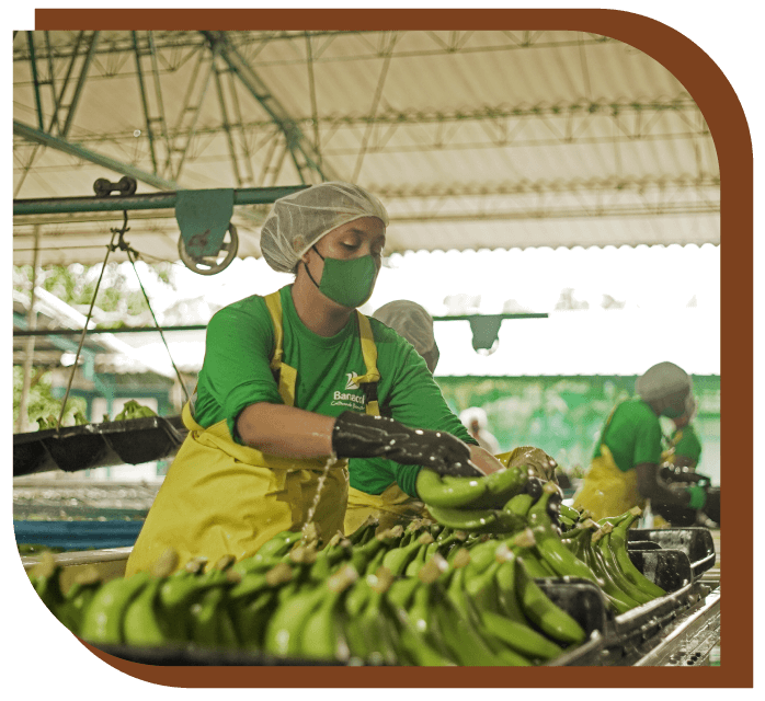 Estructura de gobierno