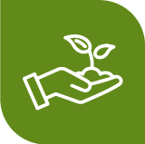 (CV-4) Control de malezas por medio de coberturas naturales y adecuación de suelos