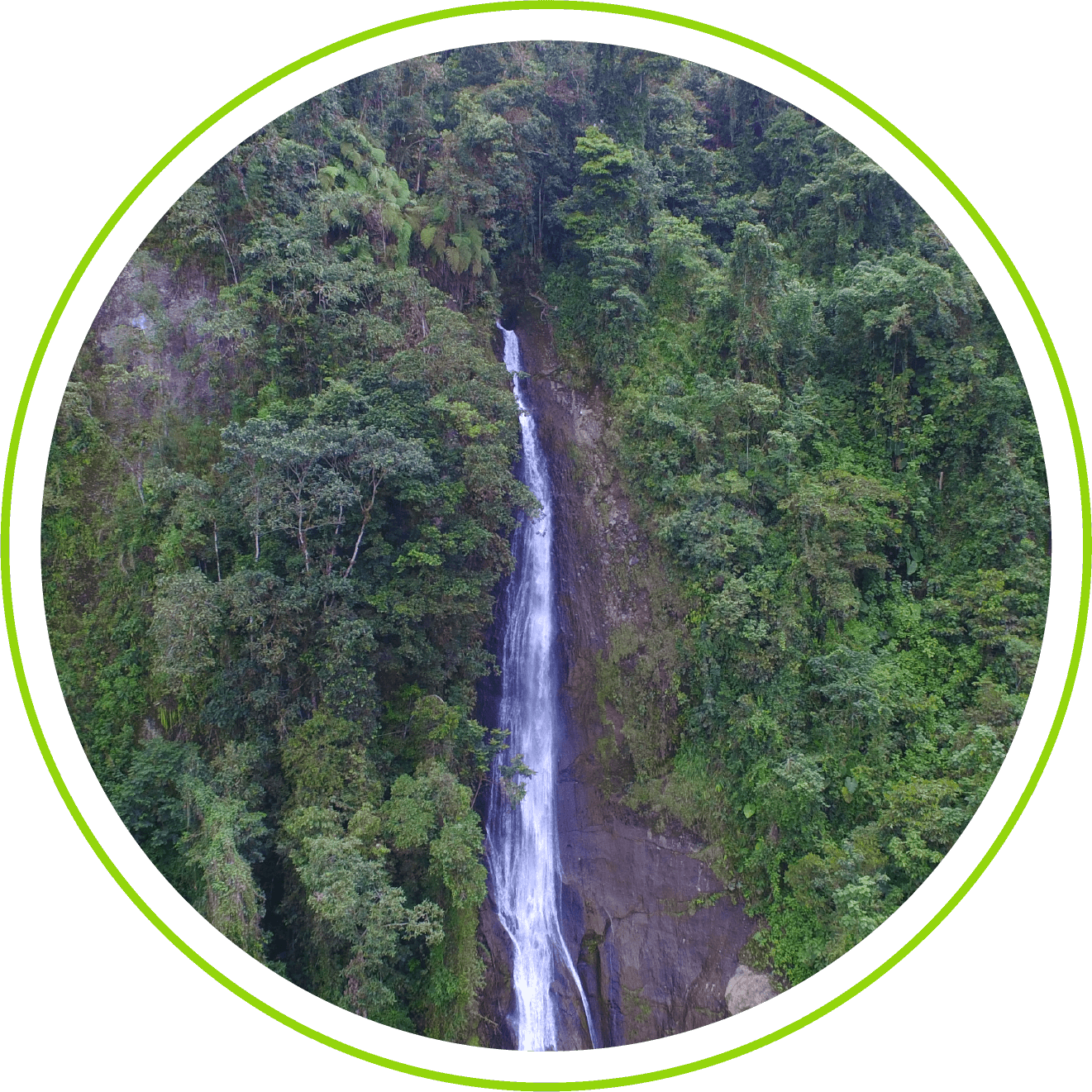 (103-3) Retos y metas de sostenibilidad 2021