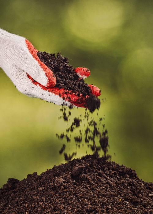 Agroindustrial