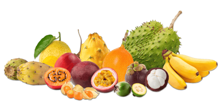 Fruits Caribbean Exostics