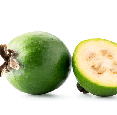 Feijoa