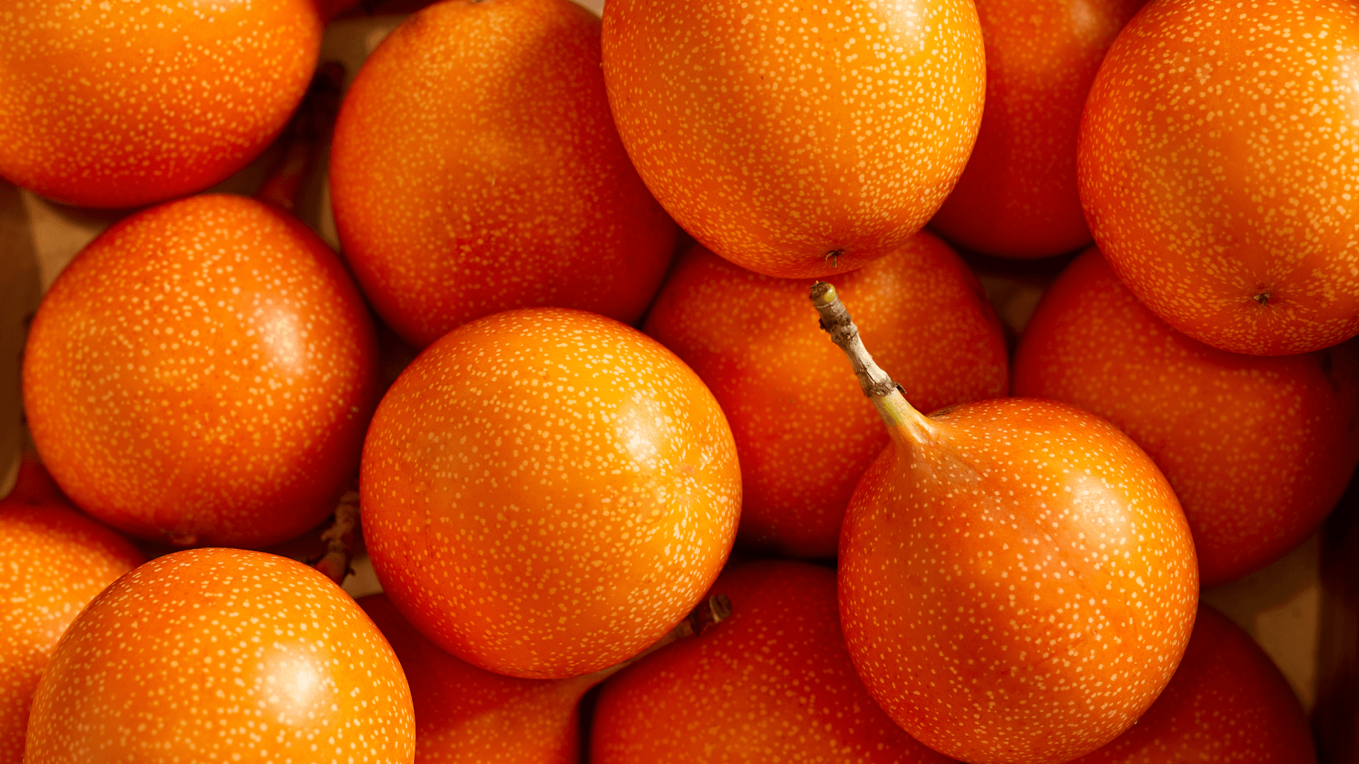 Granadilla