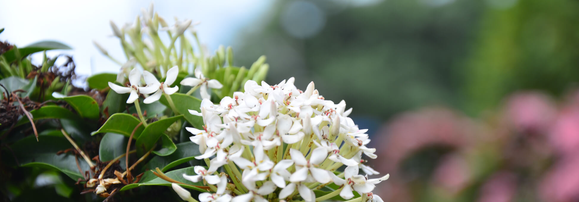 Compromiso Ambiental