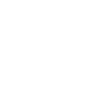 Vivienda nueva digna