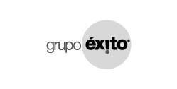 Grupo éxito